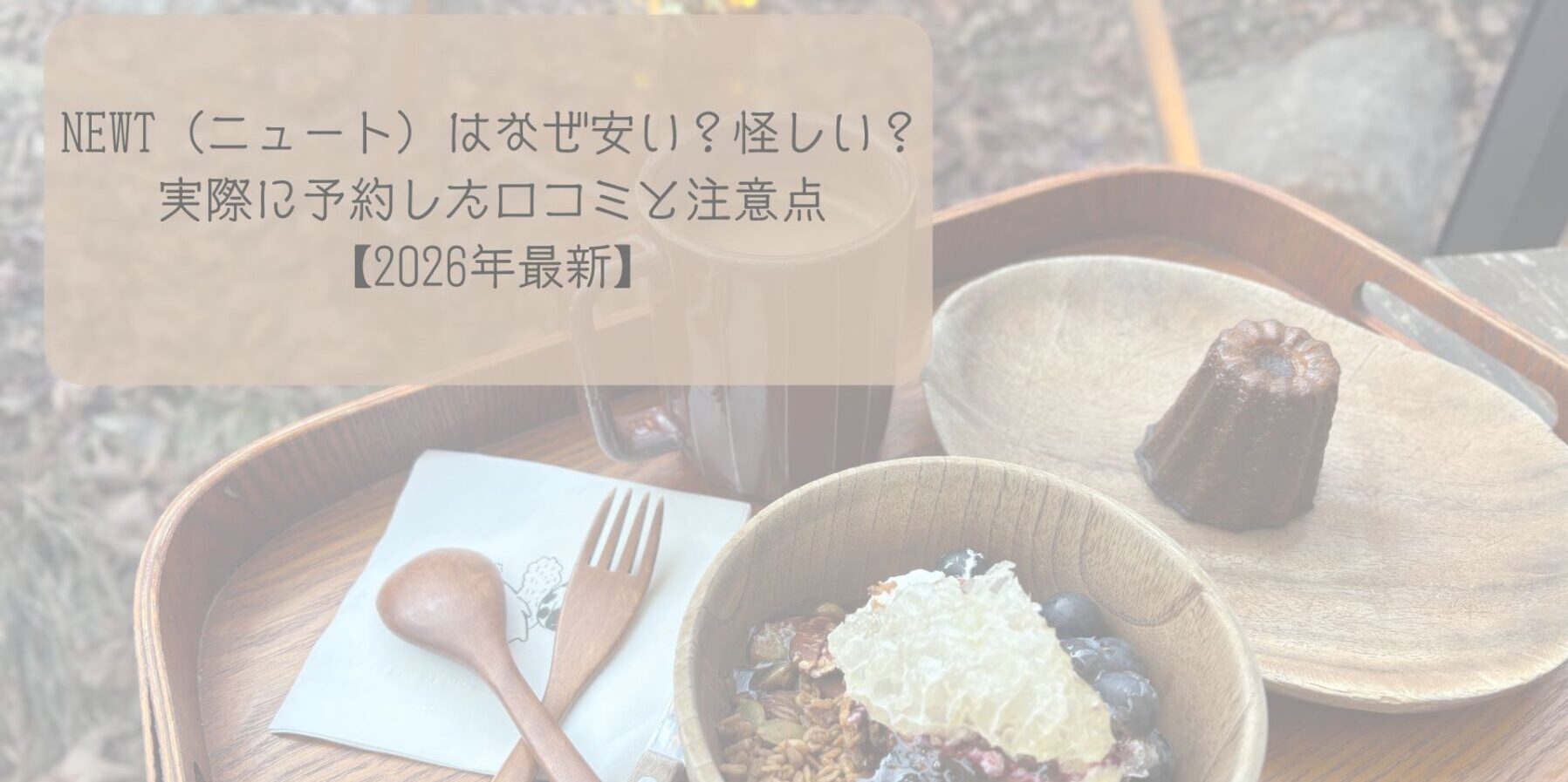 NEWT（ニュート）はなぜ安い？怪しい？実際に予約した口コミと注意点【2026年最新】