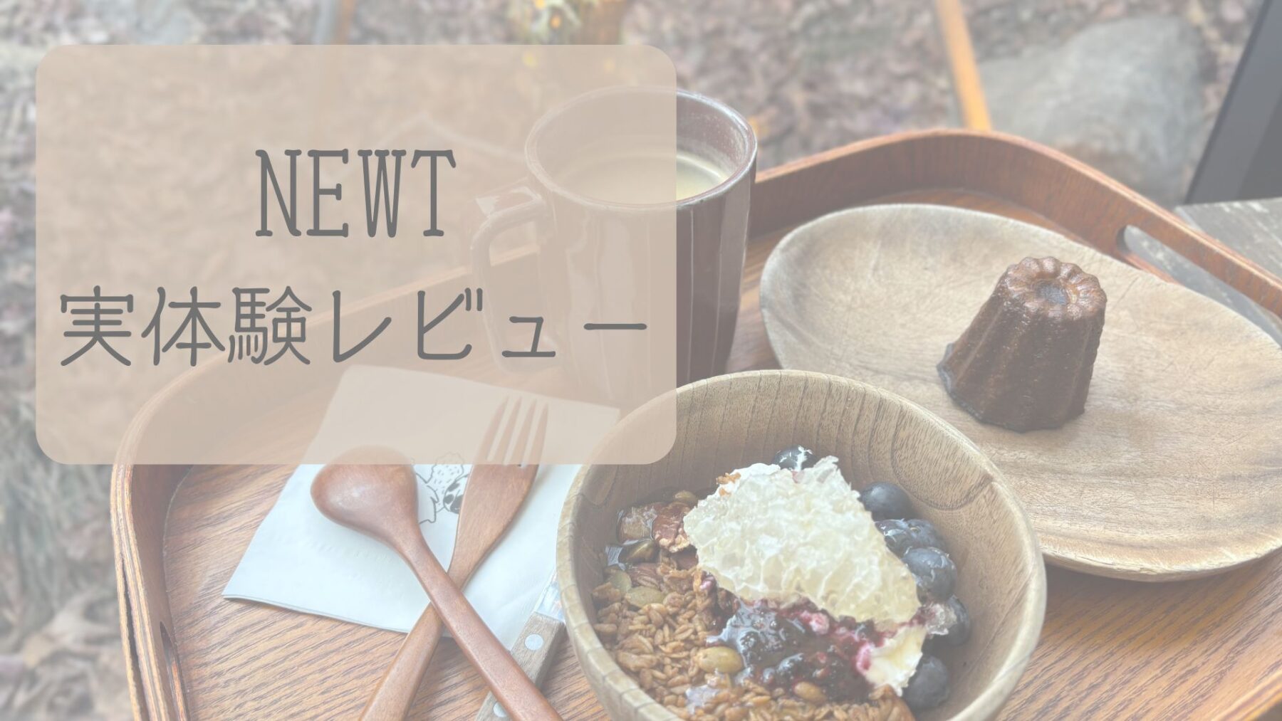 【完全初心者向け】NEWTで初めての海外旅行を予約してみたら超簡単だった話！